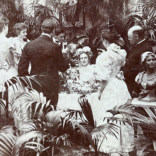 Antique 1897 A Wine Toast To Bride And Groom Stereoview Photo Card P2944