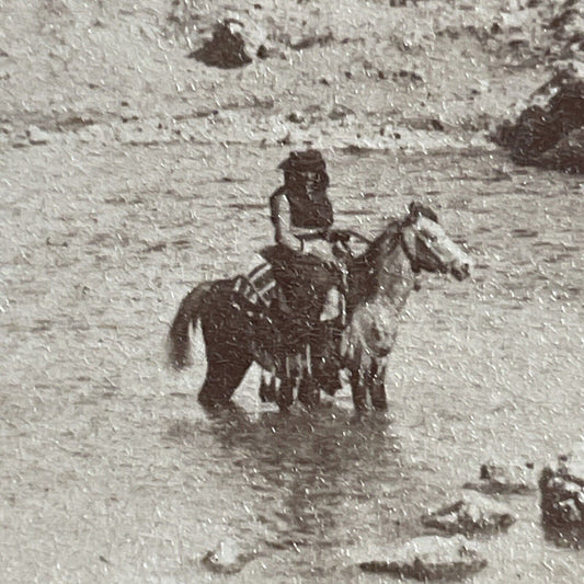 Antique 1900 A Hunter On Horseback In Water Stereoview Photo Card P4433