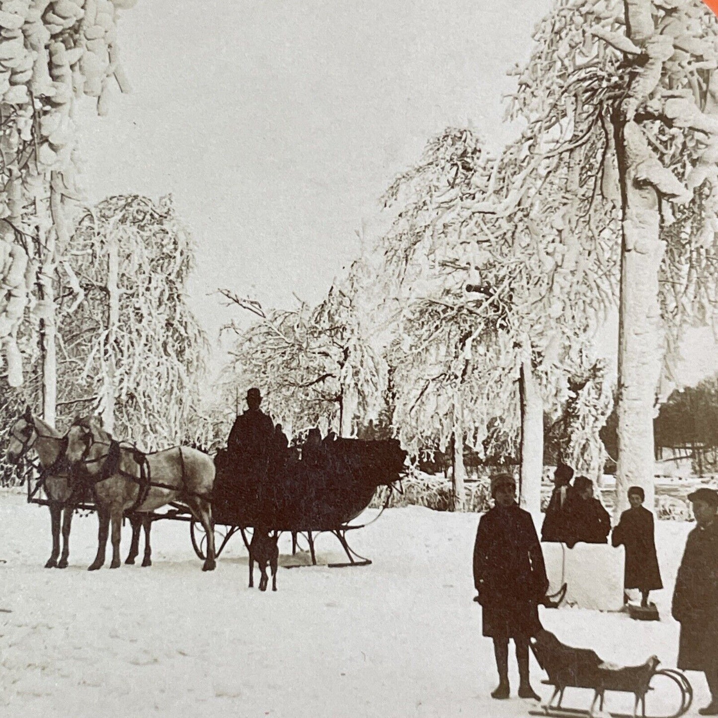 Winter Sleigh Ride in Prospect Park Niagara Falls Stereoview Antique c1893 Y1866