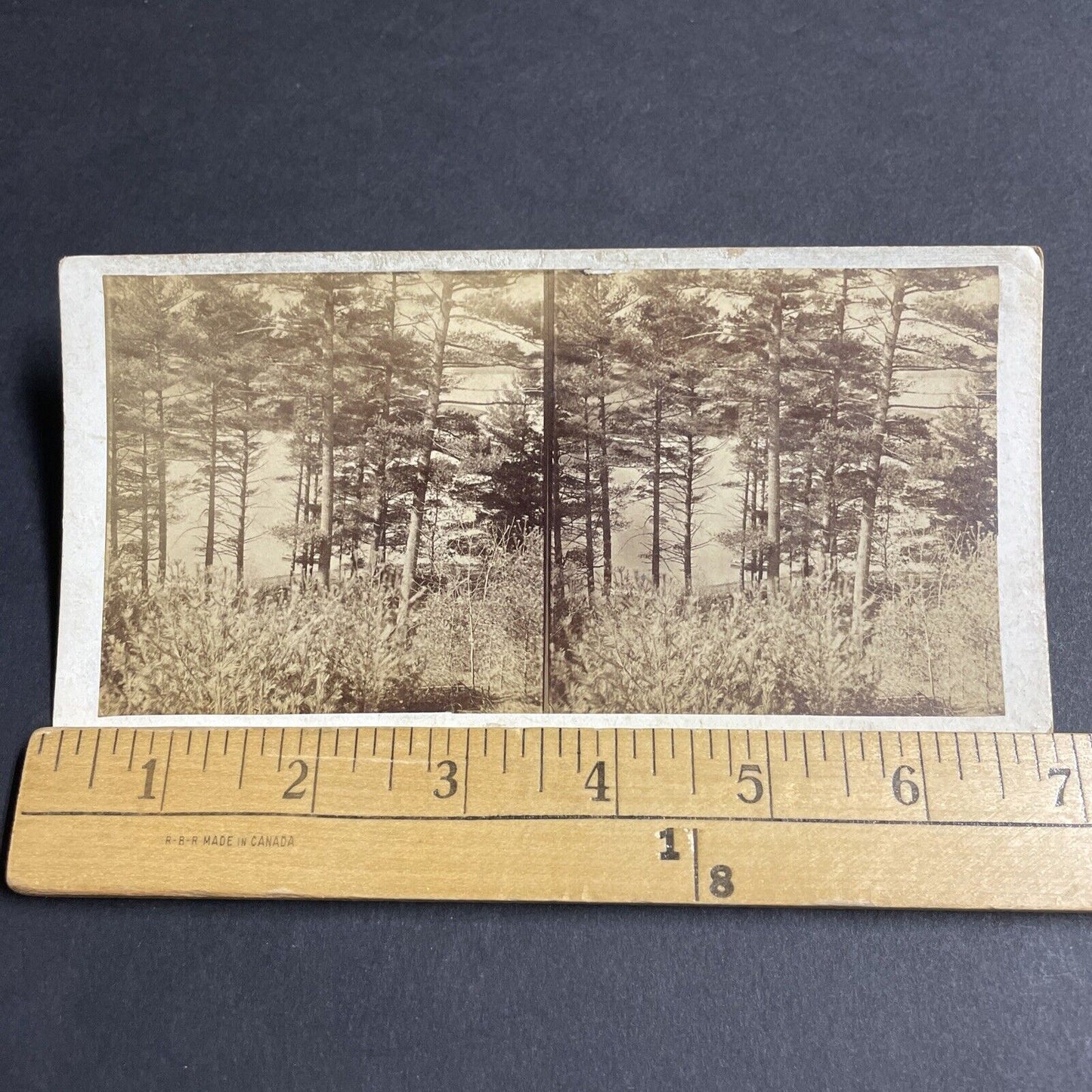 Antique 1870s Roseland Park Woodstock Connecticut Stereoview Photo Card P4794