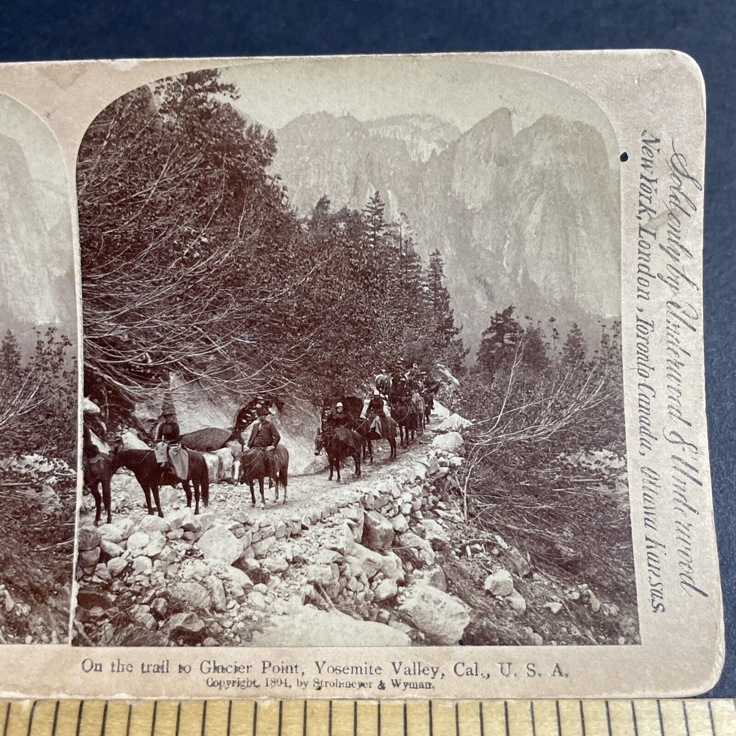 Antique 1894 Horseback To Glacier Point Yosemite CA Stereoview Photo Card P4366