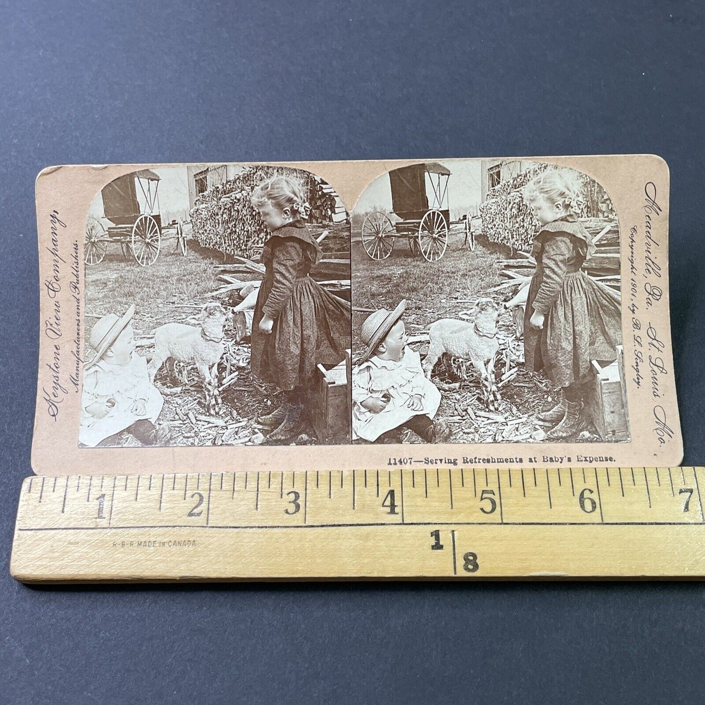 Antique 1901 Girl Takes Baby Bottle Gives It To Lamb Stereoview Photo Card P2854