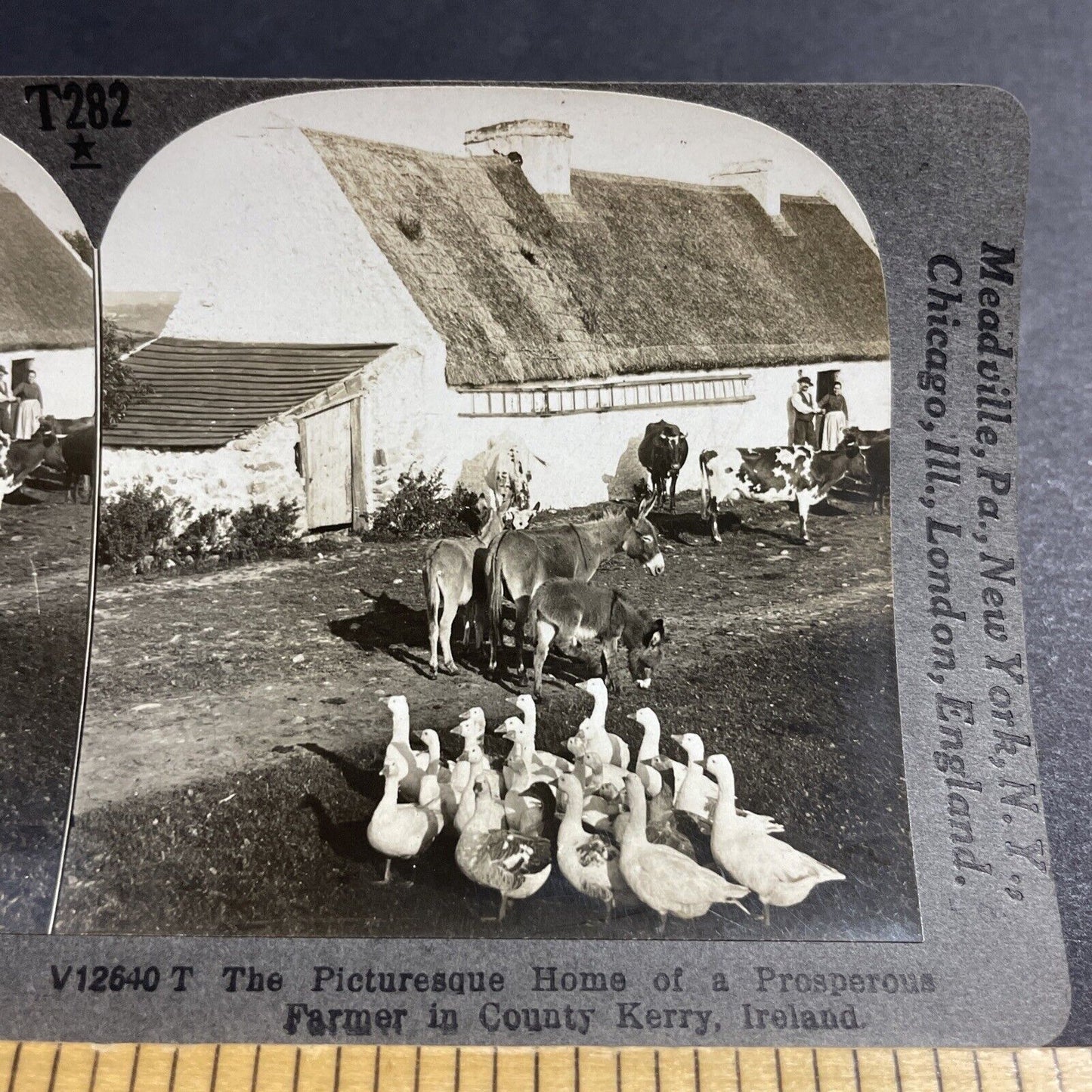 Antique 1910s Traditional Irish Farm Kerry Ireland Stereoview Photo Card P5109