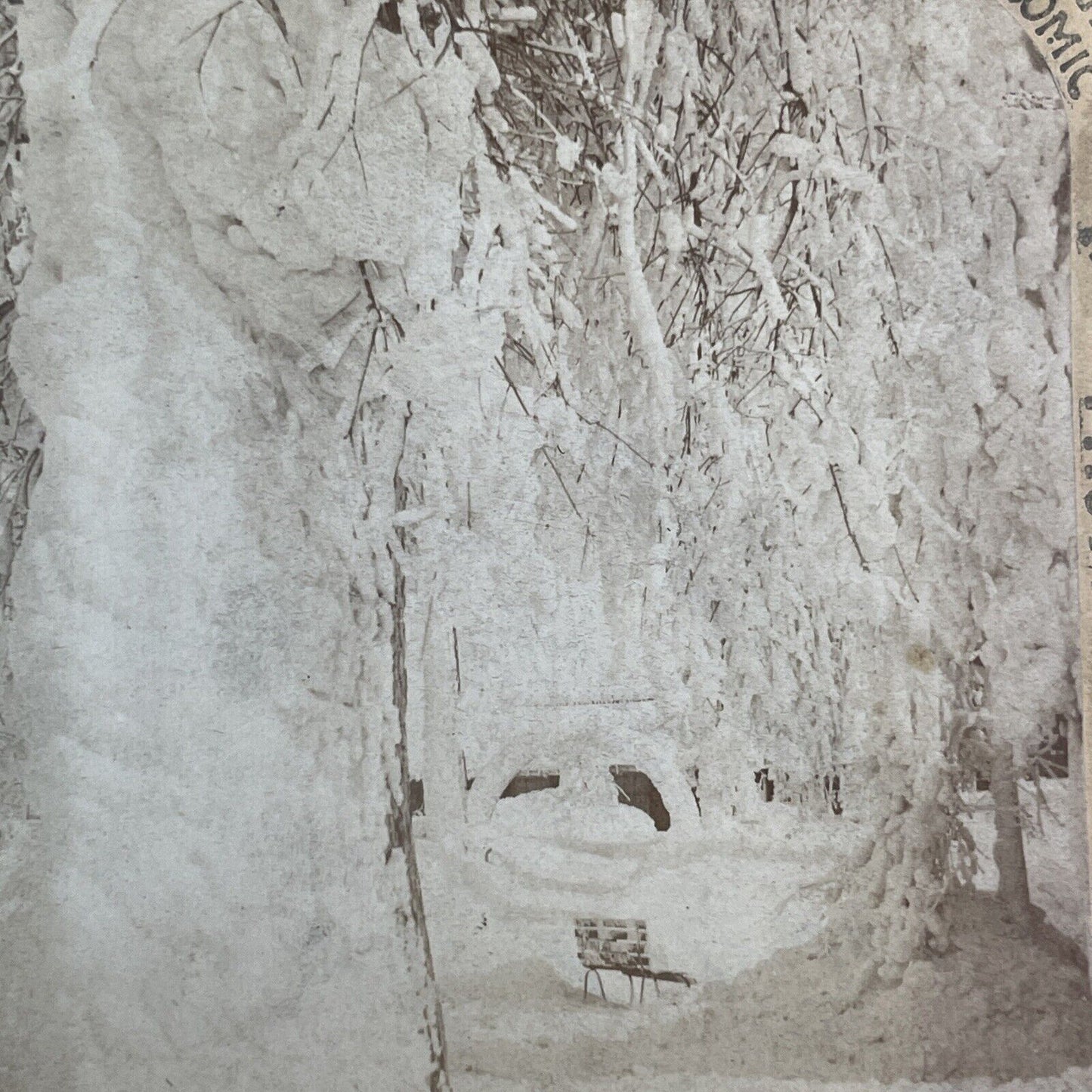 Prospect Park Niagara Falls Frozen Winter Stereoview George Barker c1870s Y1739