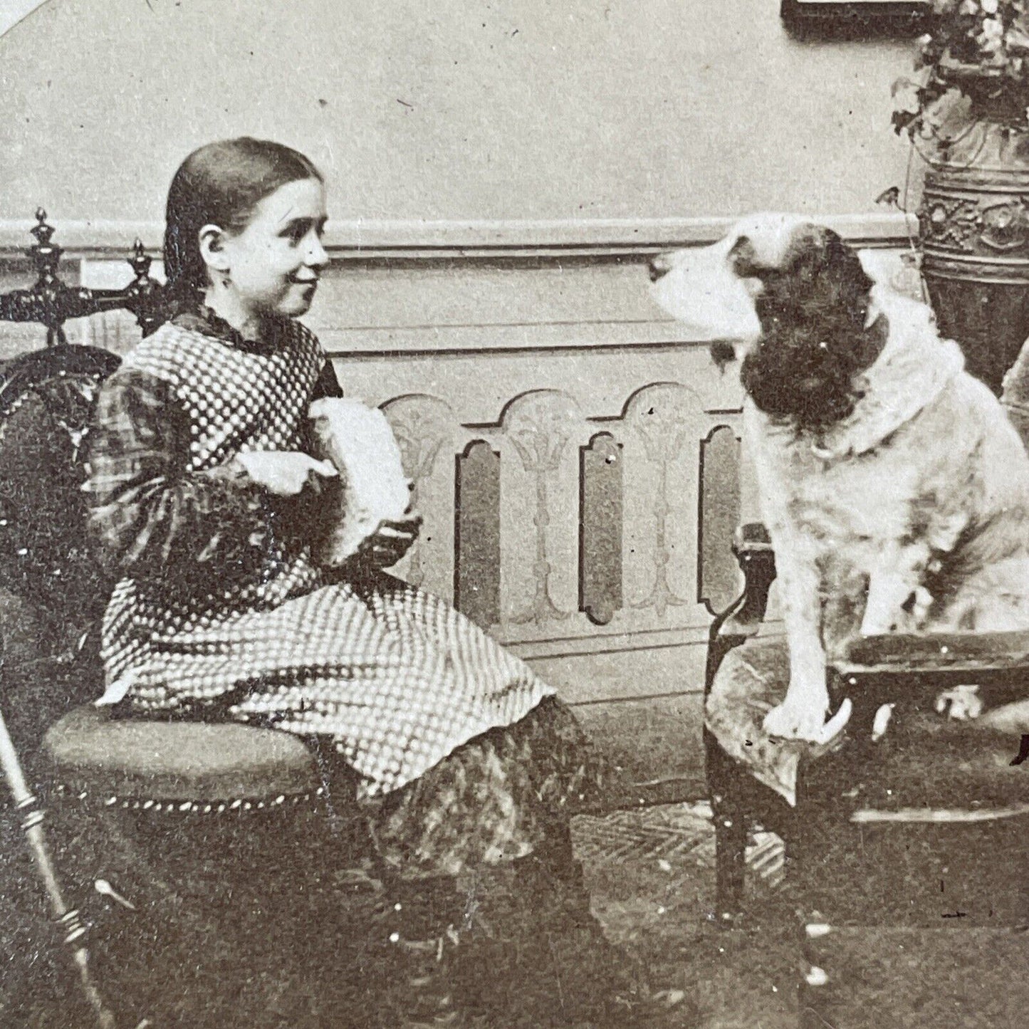 Young Girl Feeds a Dog Some Bread Stereoview Antique c1860s Y112