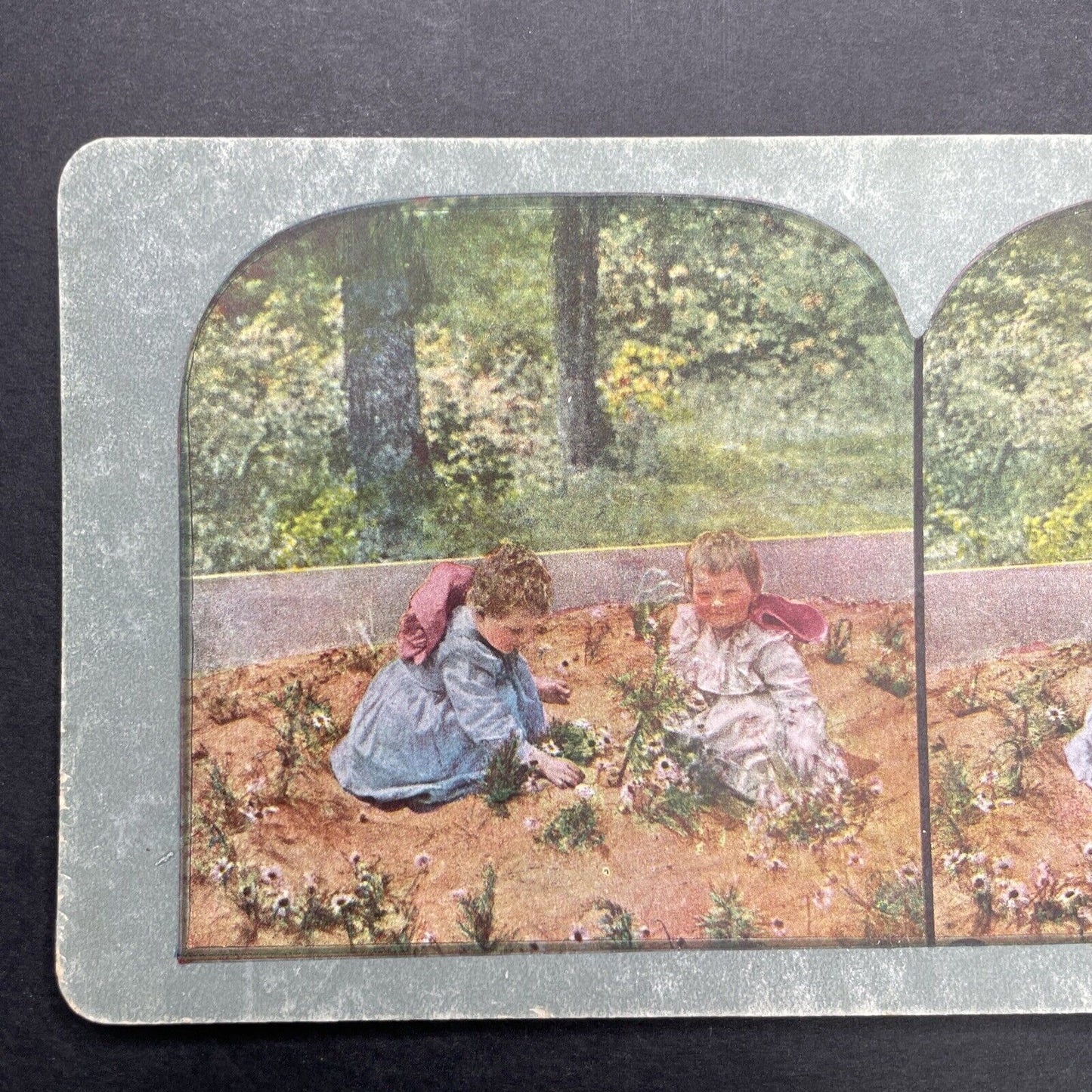 Antique 1898 Children Playing In Flower Garden Stereoview Photo Card P580-046