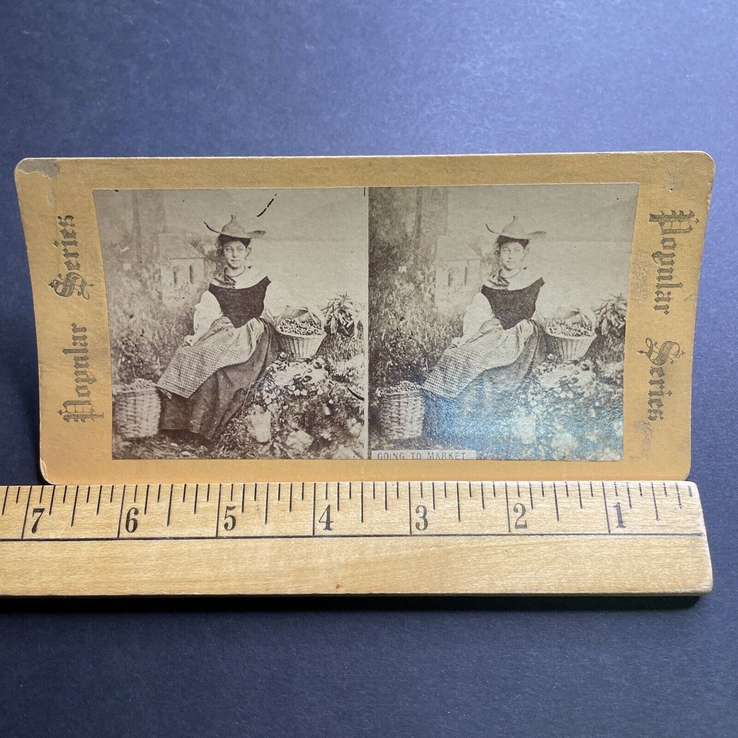 Antique 1860s English Peasant Girl At Harvest Stereoview Photo Card P2093