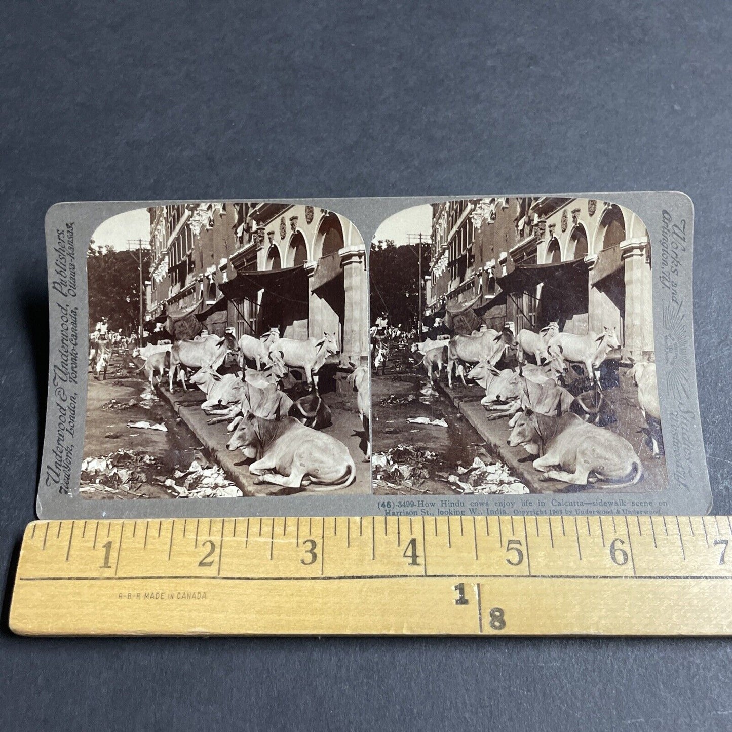 Antique 1903 Extreme Poverty In Calcutta India Stereoview Photo Card P4452