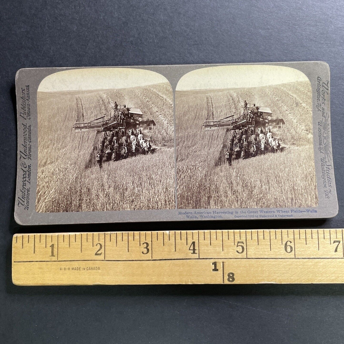 Antique 1902 Hay Combine Walla Walla Washington Stereoview Photo Card P1503