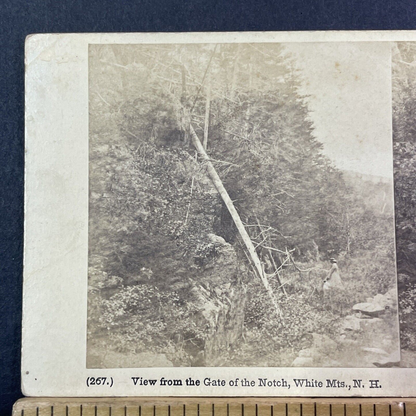 Entrance To Franconia Notch NH Stereoview Charles Bierstadt Antique c1870 X981