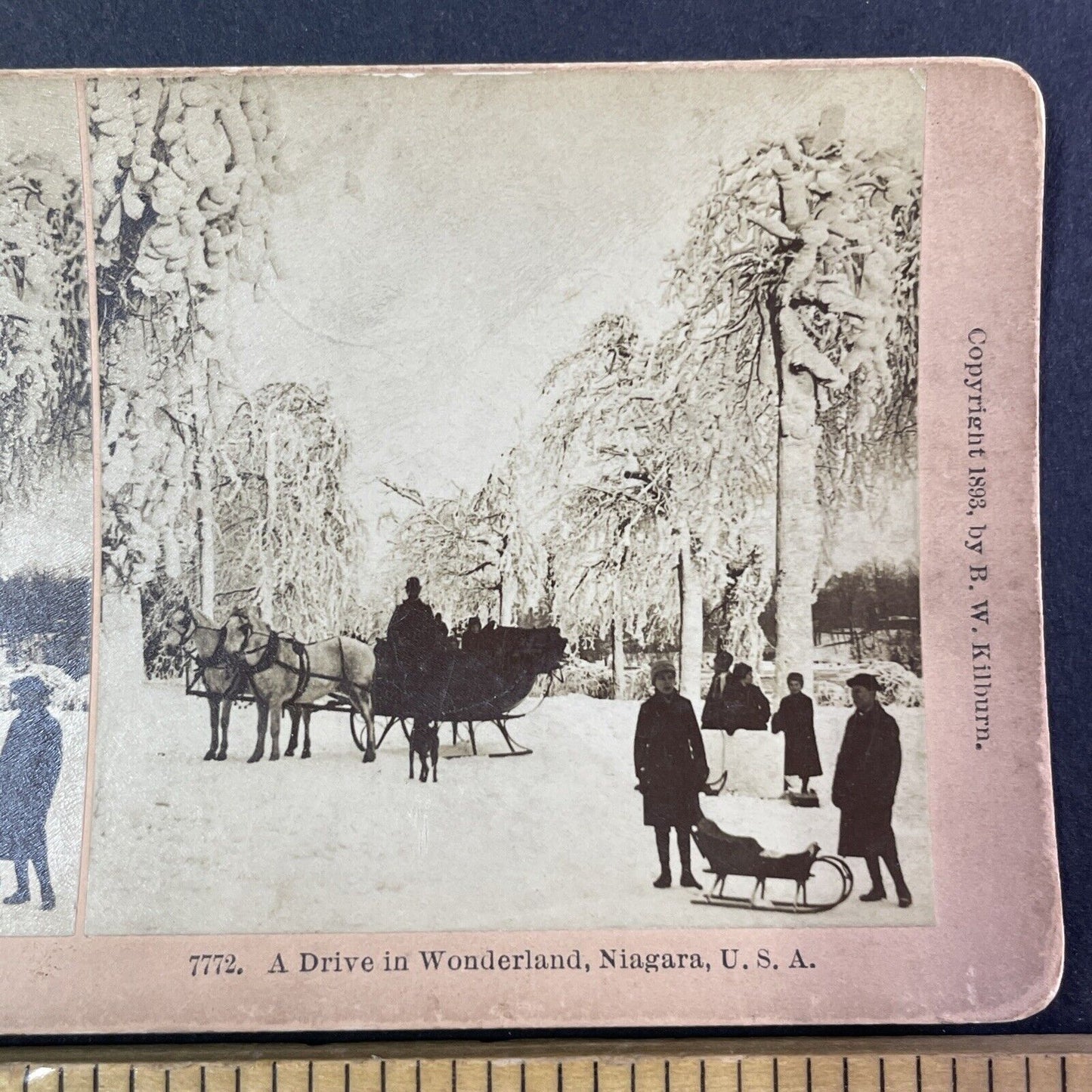 Christmas Sleigh Rides in Winter Stereoview Niagara Falls Antique c1893 Y1787