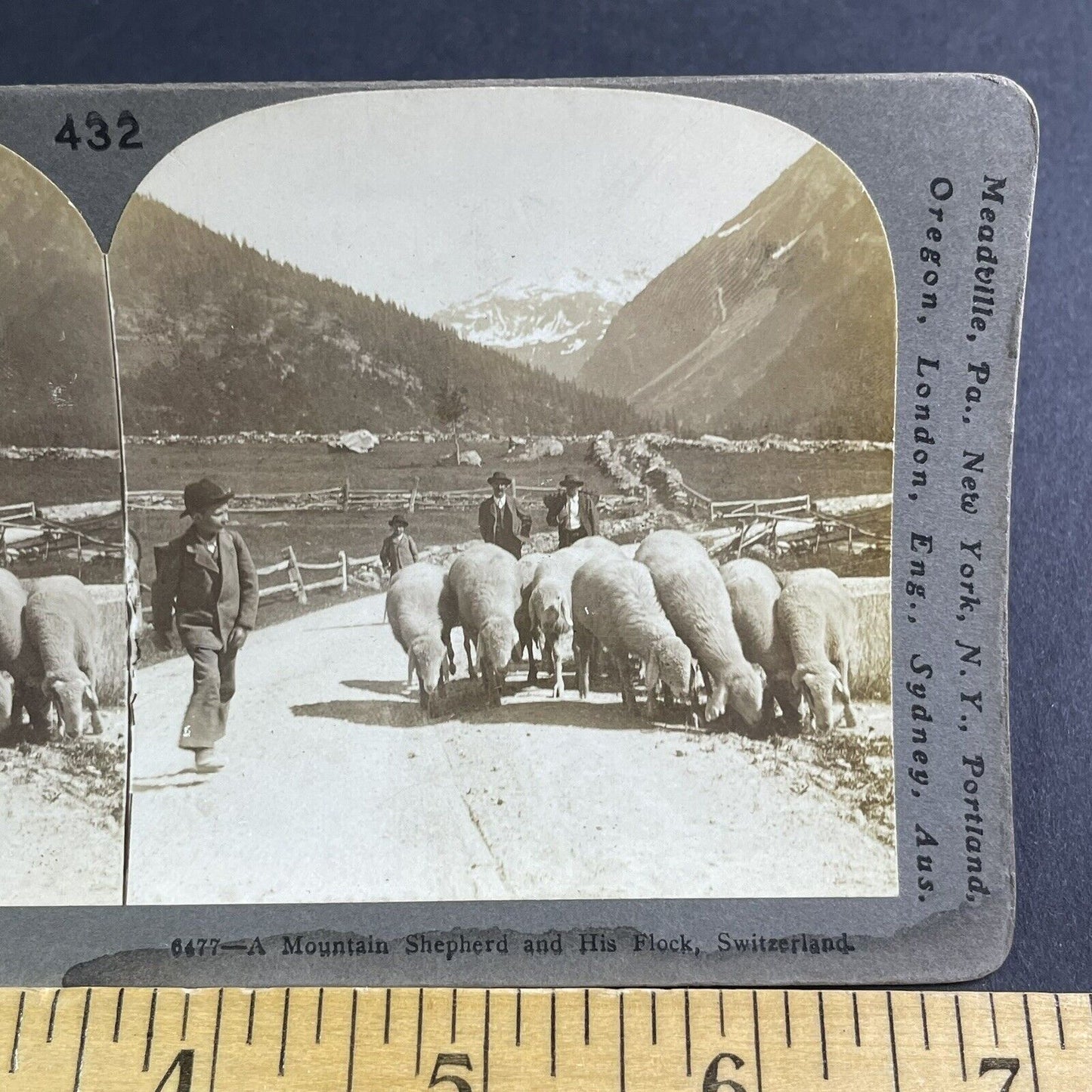 Antique 1905 Sheep Herder Farmer In The Swiss Alps Stereoview Photo Card P2233