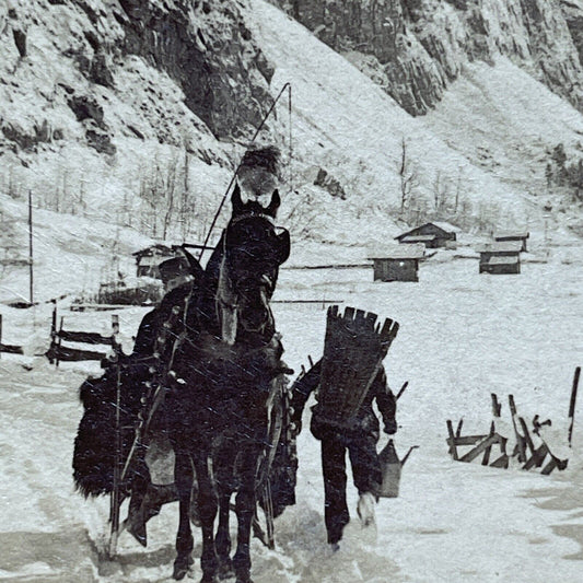 Antique 1901 Horse And Sleigh Swiss Alps Stereoview Photo Card P1898