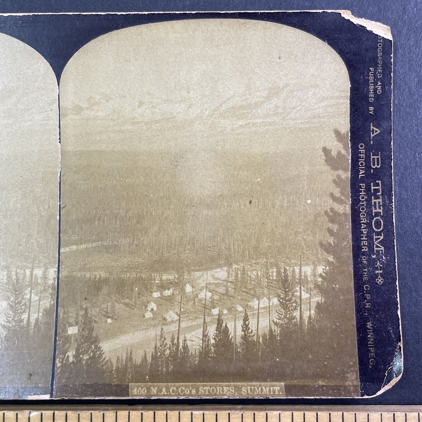 Canadian Pacific Railway Camp Alberta Stereoview Alexander Barton Thom c1883