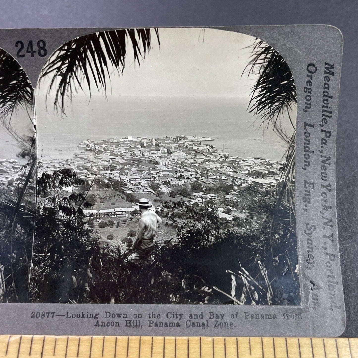 Antique 1920s Panama City View Man Looking Down Stereoview Photo Card P3734