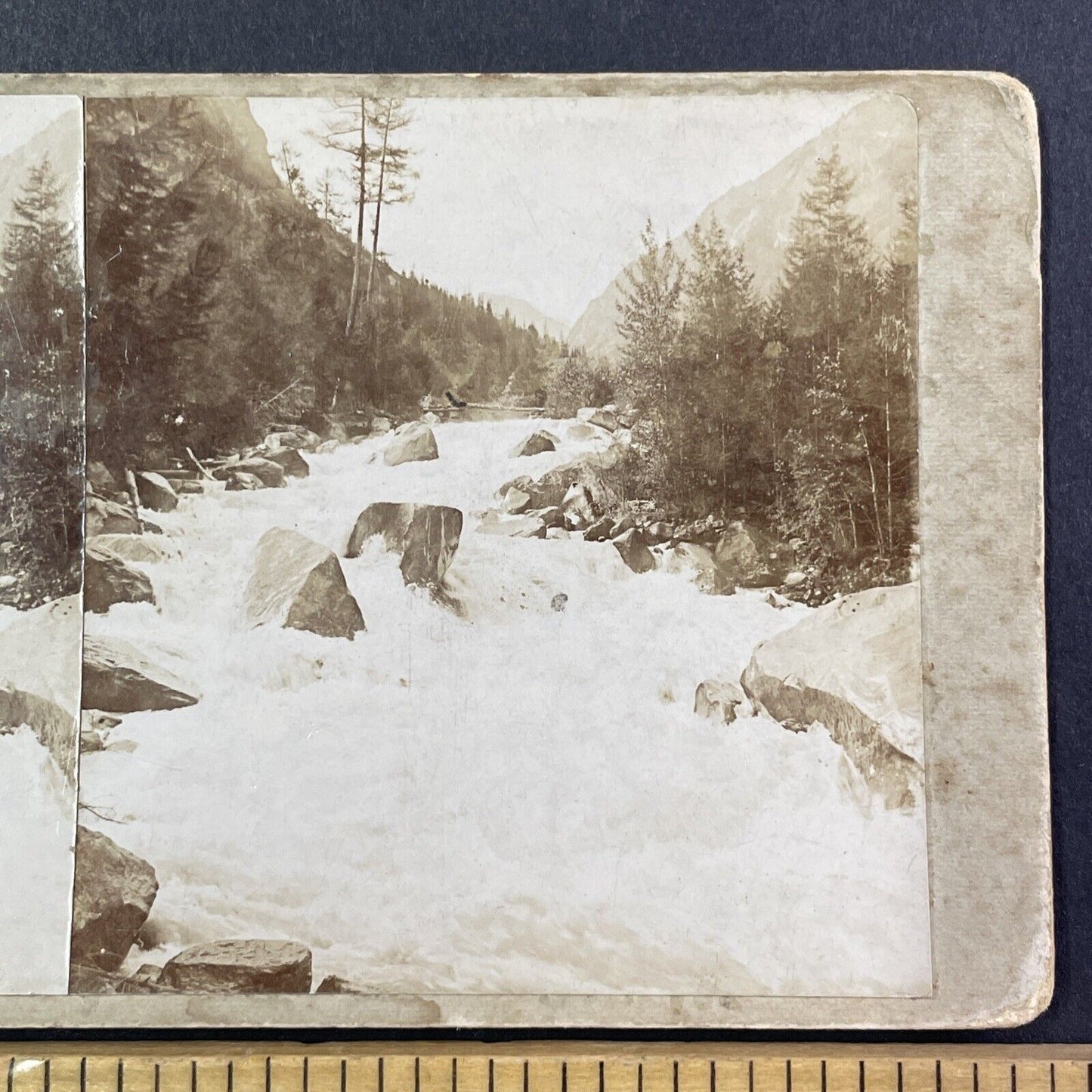 Argut River Altai Mountains Russia Stereoview IR Tomashkevich Antique 1893 X2579