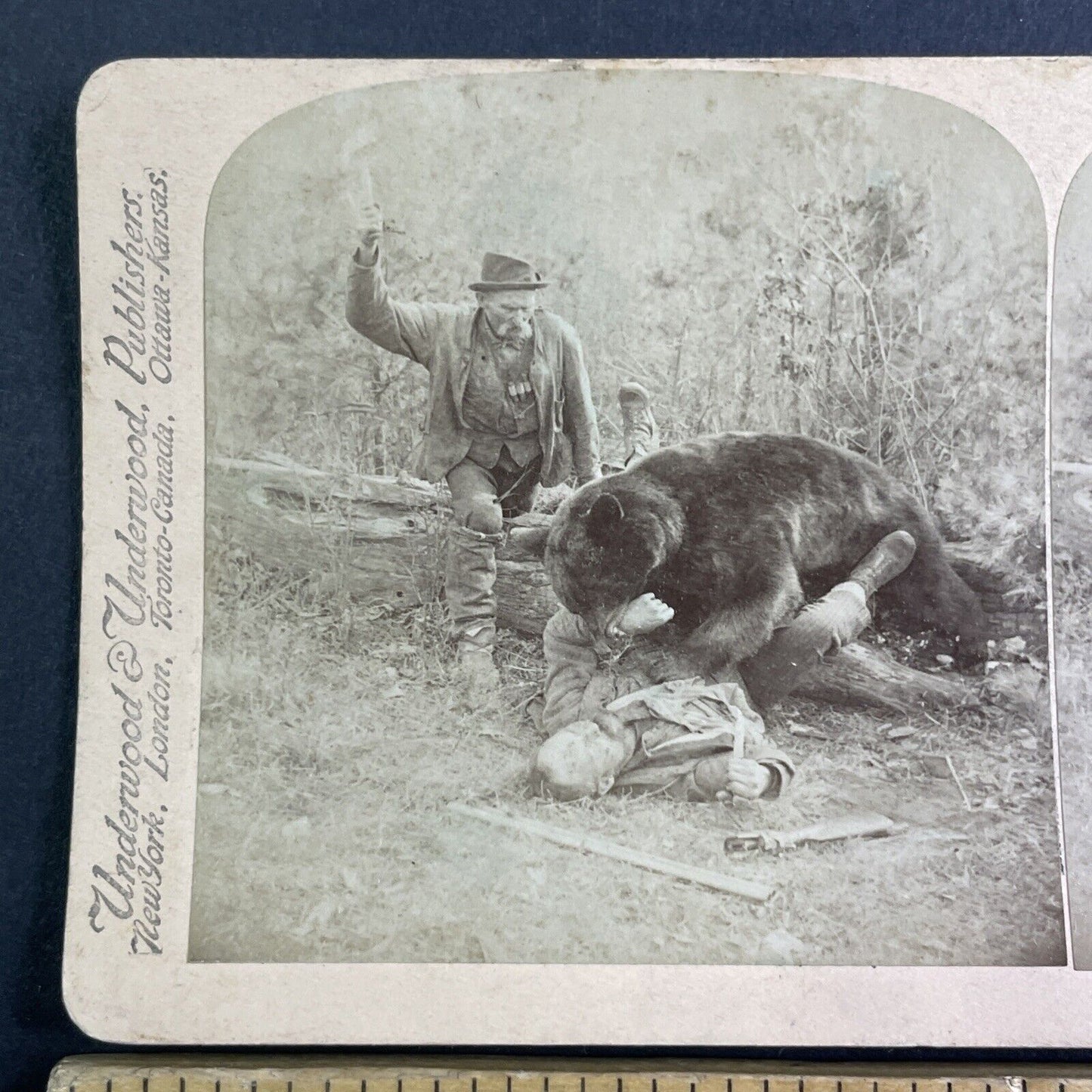 Wild Bear Attacking A Man Stereoview George Barker Antique c1893 Y1217