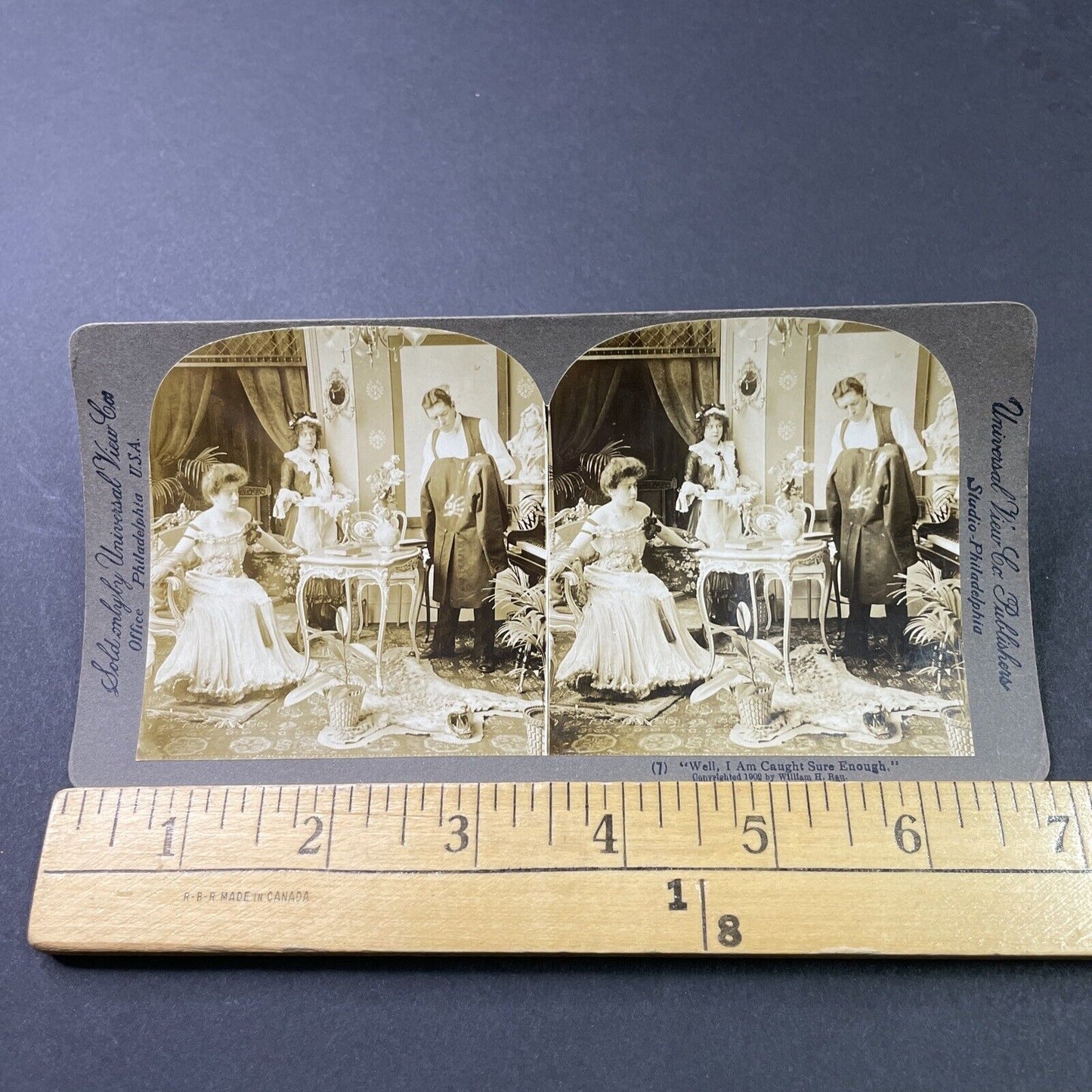 Antique 1902 Cheetah Skin Rug In Parlor Stereoview Photo Card P2908