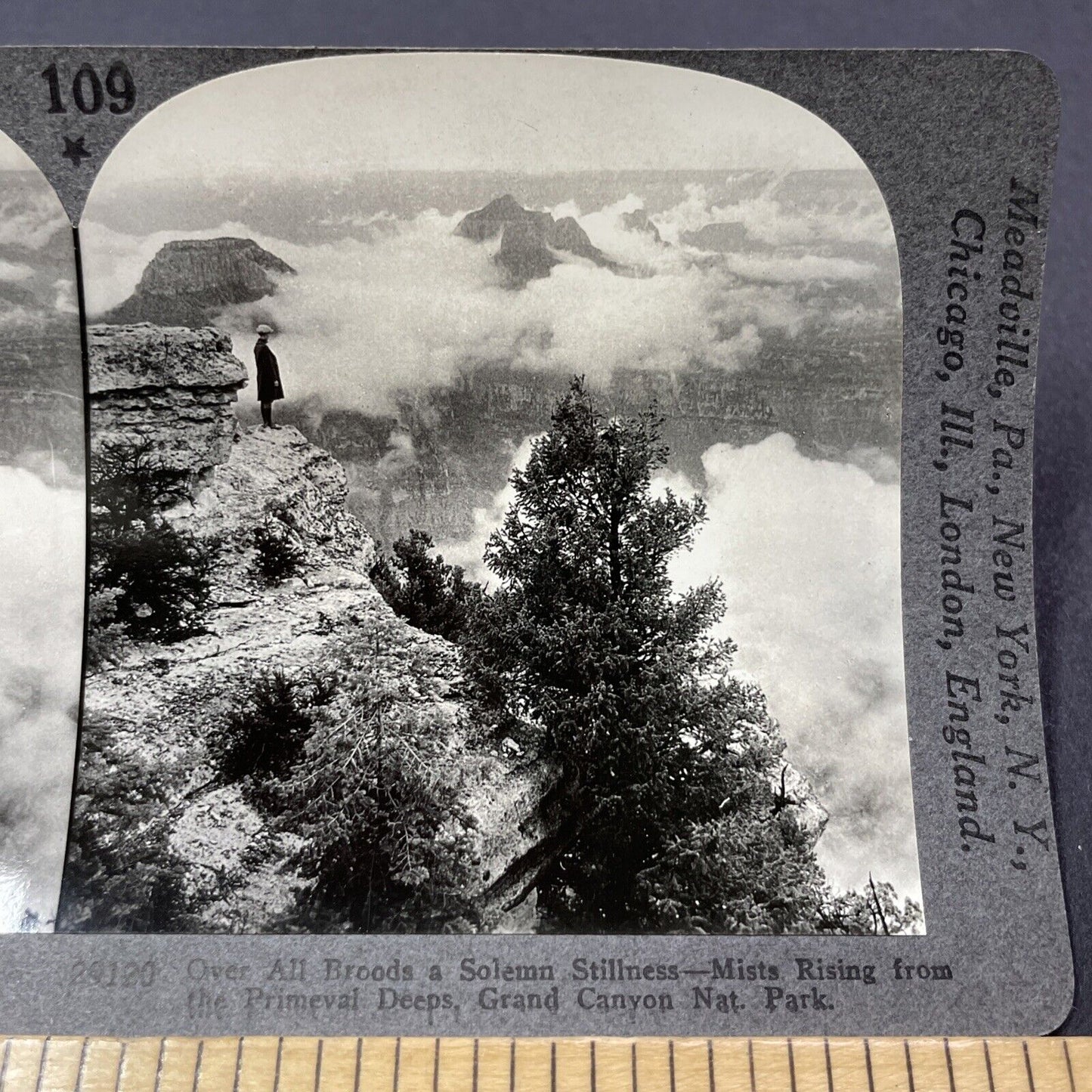 Antique 1910s Daredevil At Edge Of Grand Canyon Stereoview Photo Card V2163