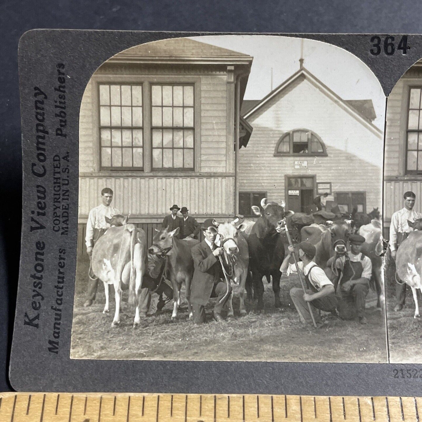 Antique 1920s The CNE In Toronto Ontario Canada Stereoview Photo Card P5142