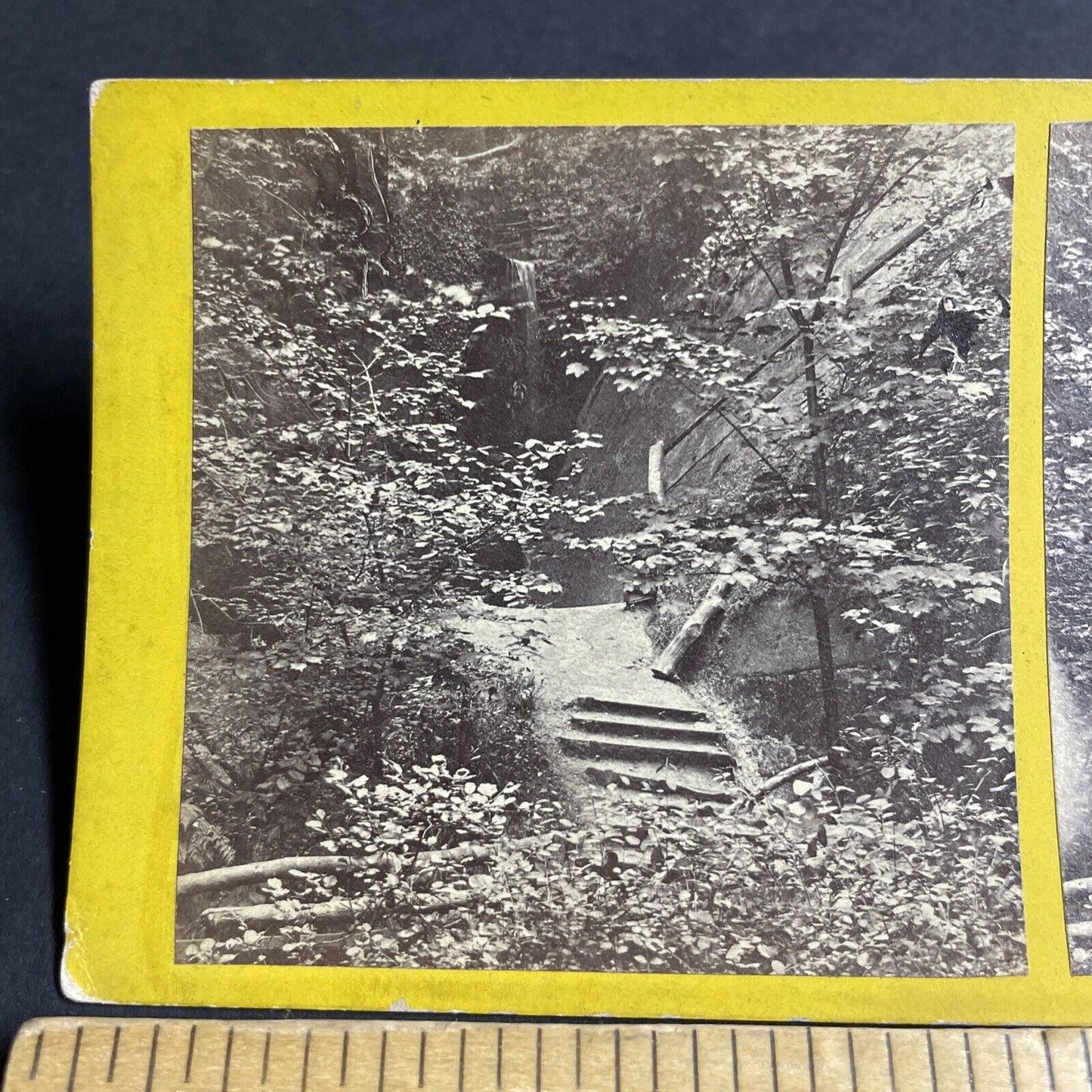 Antique 1870s Shanklin Chine Isle Of Wight UK Stereoview Photo Card P4384