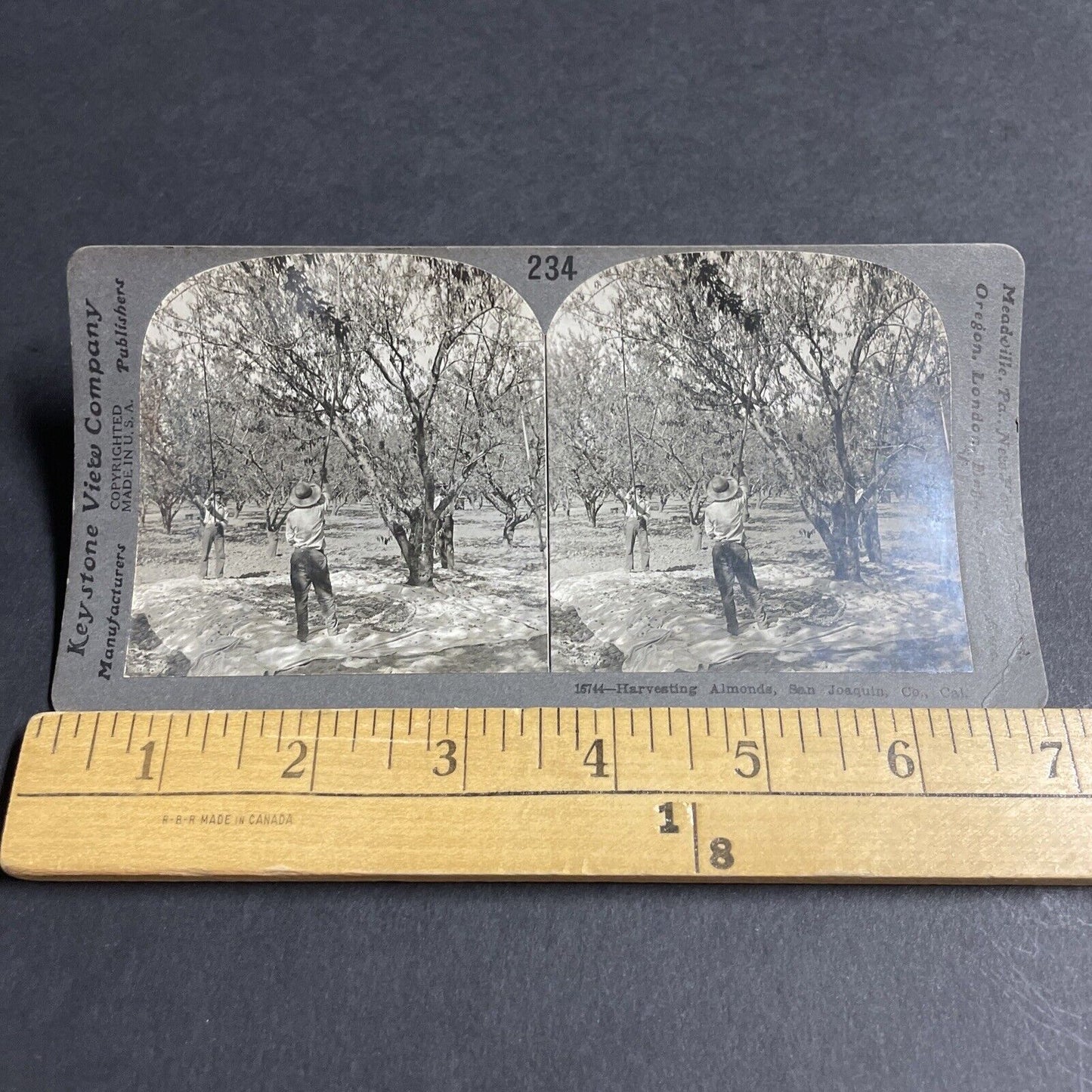 Antique 1910s Almond Farm Near Bridgehead CA Stereoview Photo Card P3660