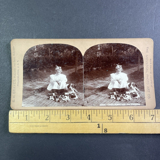 Little Girl With Her Puppies And Dog Stereoview CH Graves Antique c1899 X3516