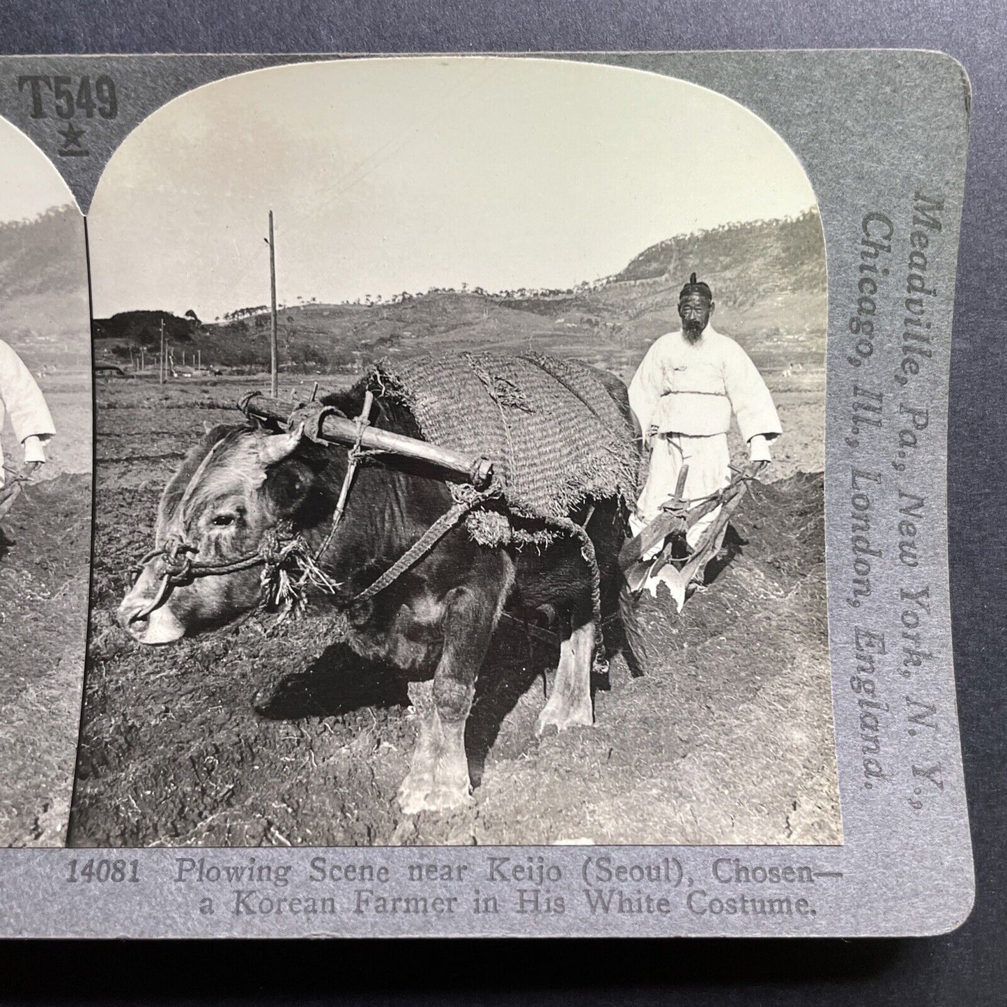 Antique 1901 Farmer Ploughing Field Seoul Korea Stereoview Photo Card P1790