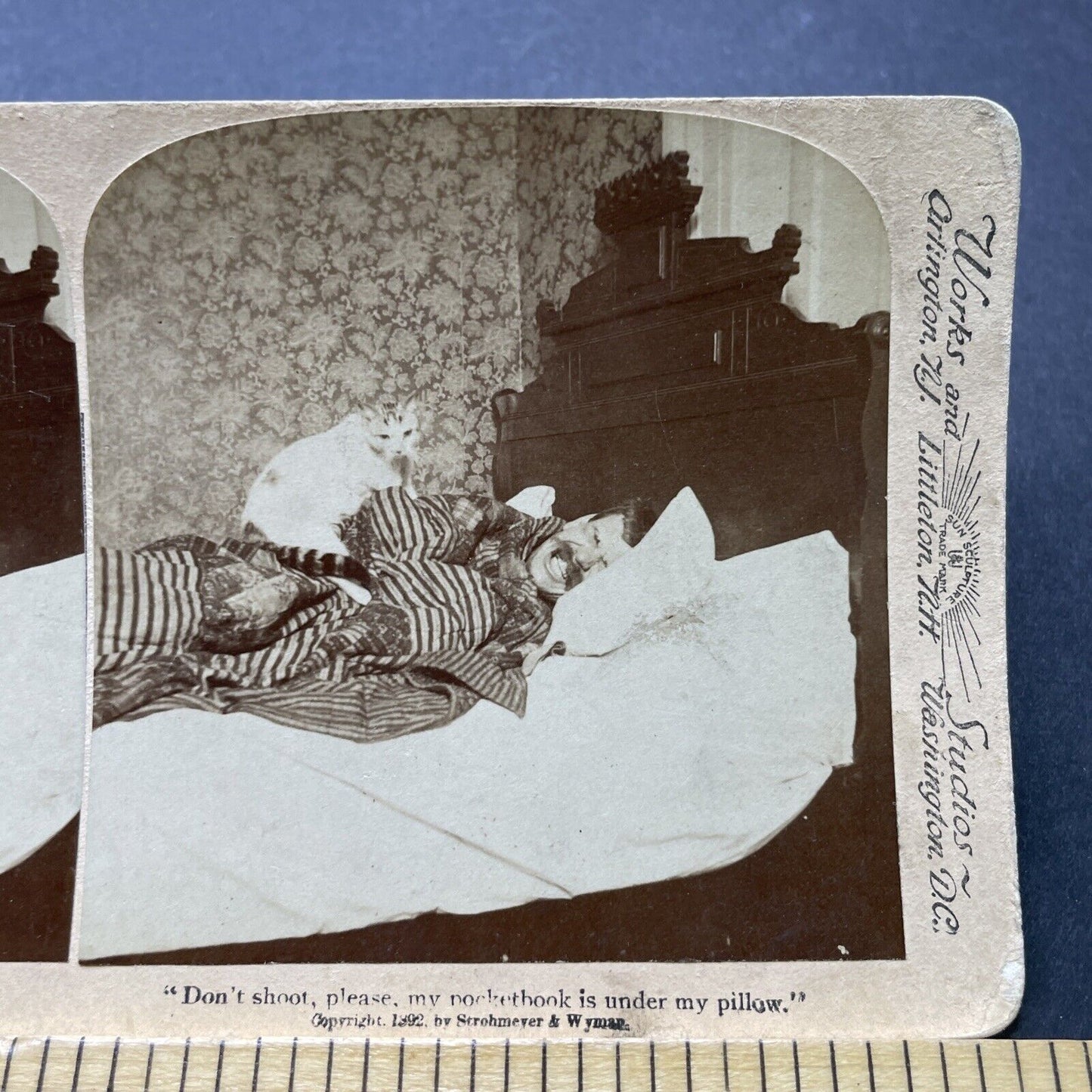 Antique 1892 Cat Wakes Man Up From Sleep Nap Stereoview Photo Card P2508