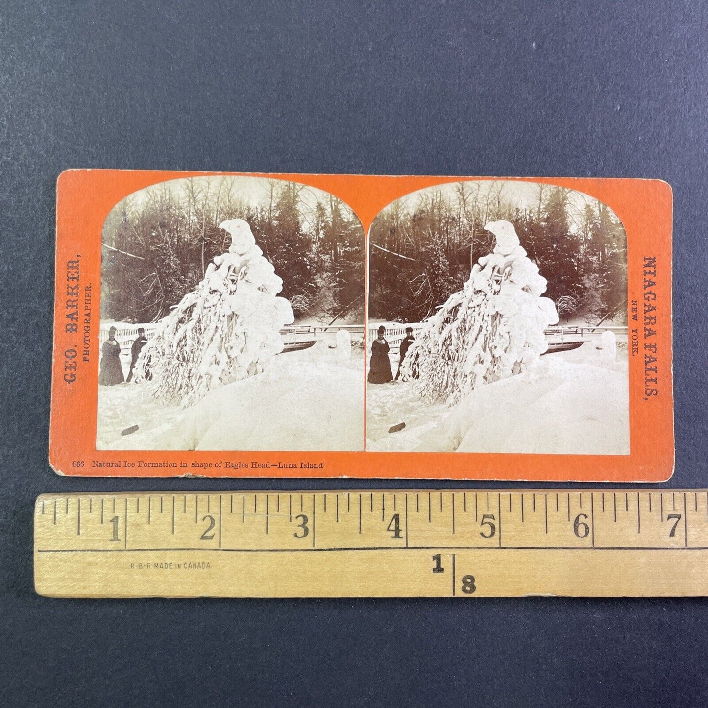 Eagle Head Tree on Luna Island New York Stereoview George Barker c1870 Y2539