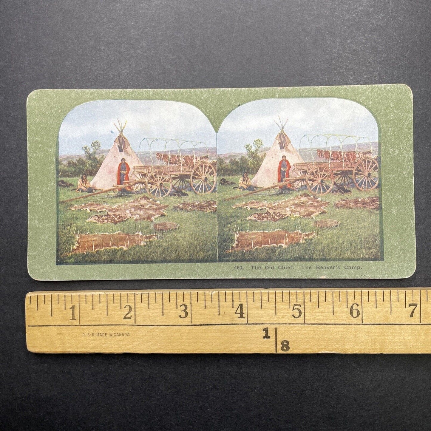 Antique 1899 Sioux Chief Drying Beaver Pelts Stereoview Photo Card P580-066