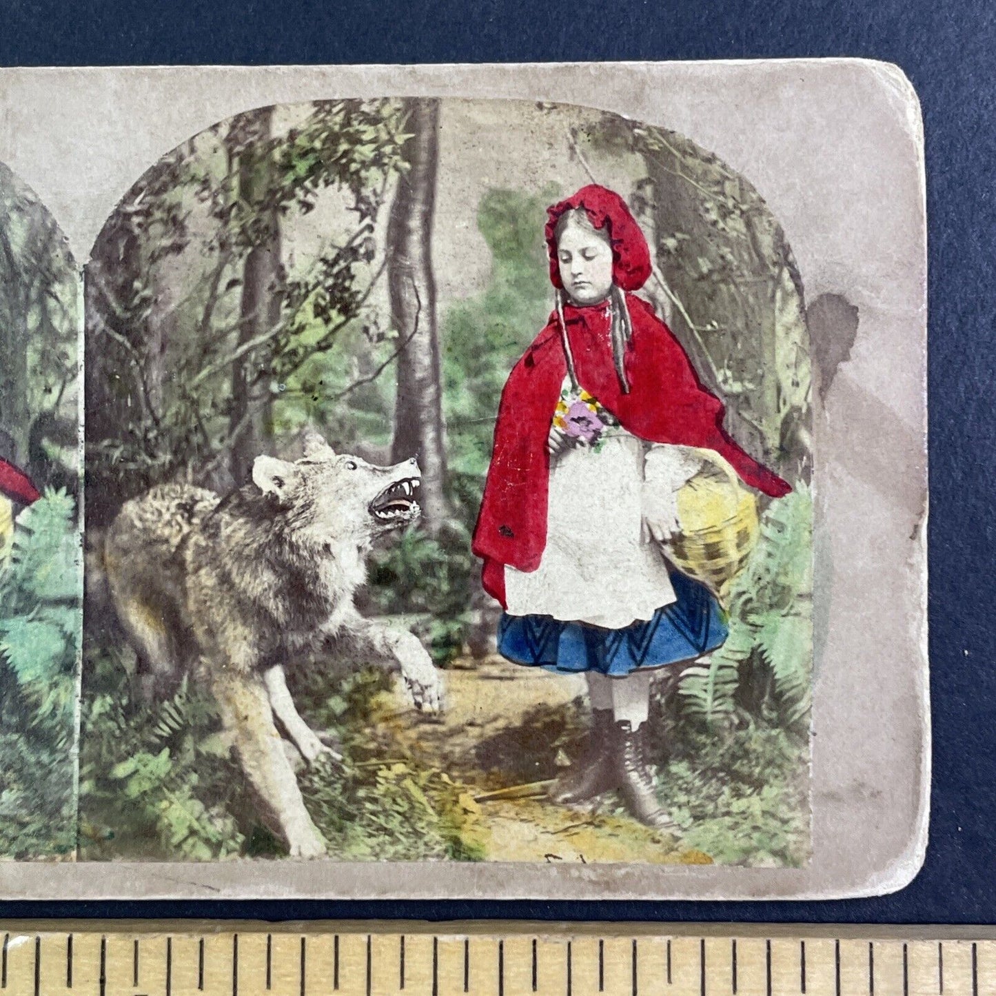 Little Red Riding Hood Stereoview Attributed To James Robinson c1859 Y1212