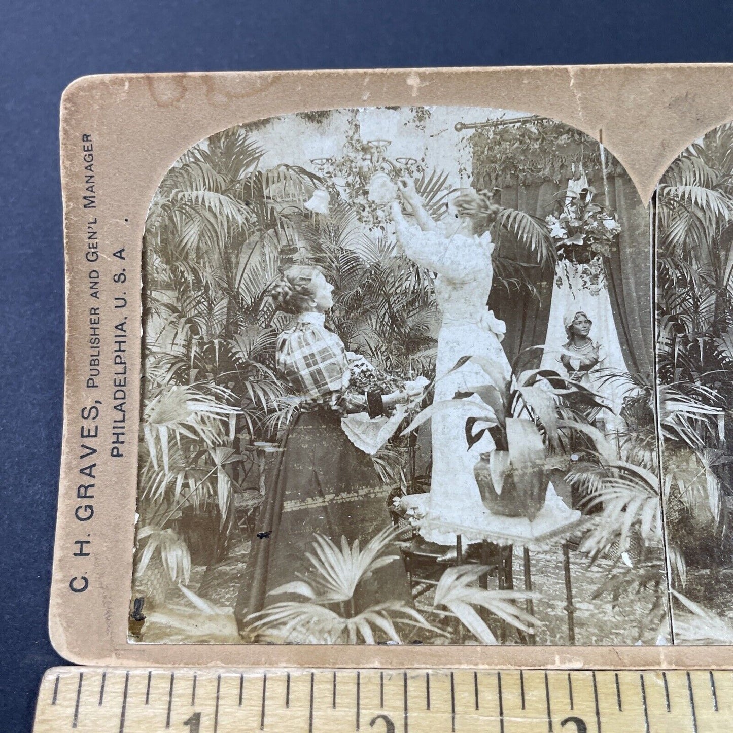 Antique 1897 Woman Decorates For Victorian Wedding Stereoview Photo Card P2940