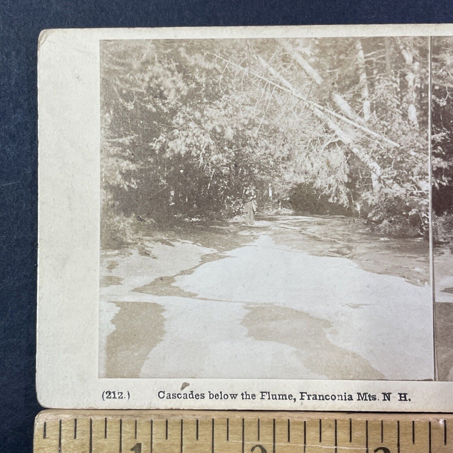 Charles Bierstadt Self Portrait Franconia Notch Stereoview Antique c1870 X979