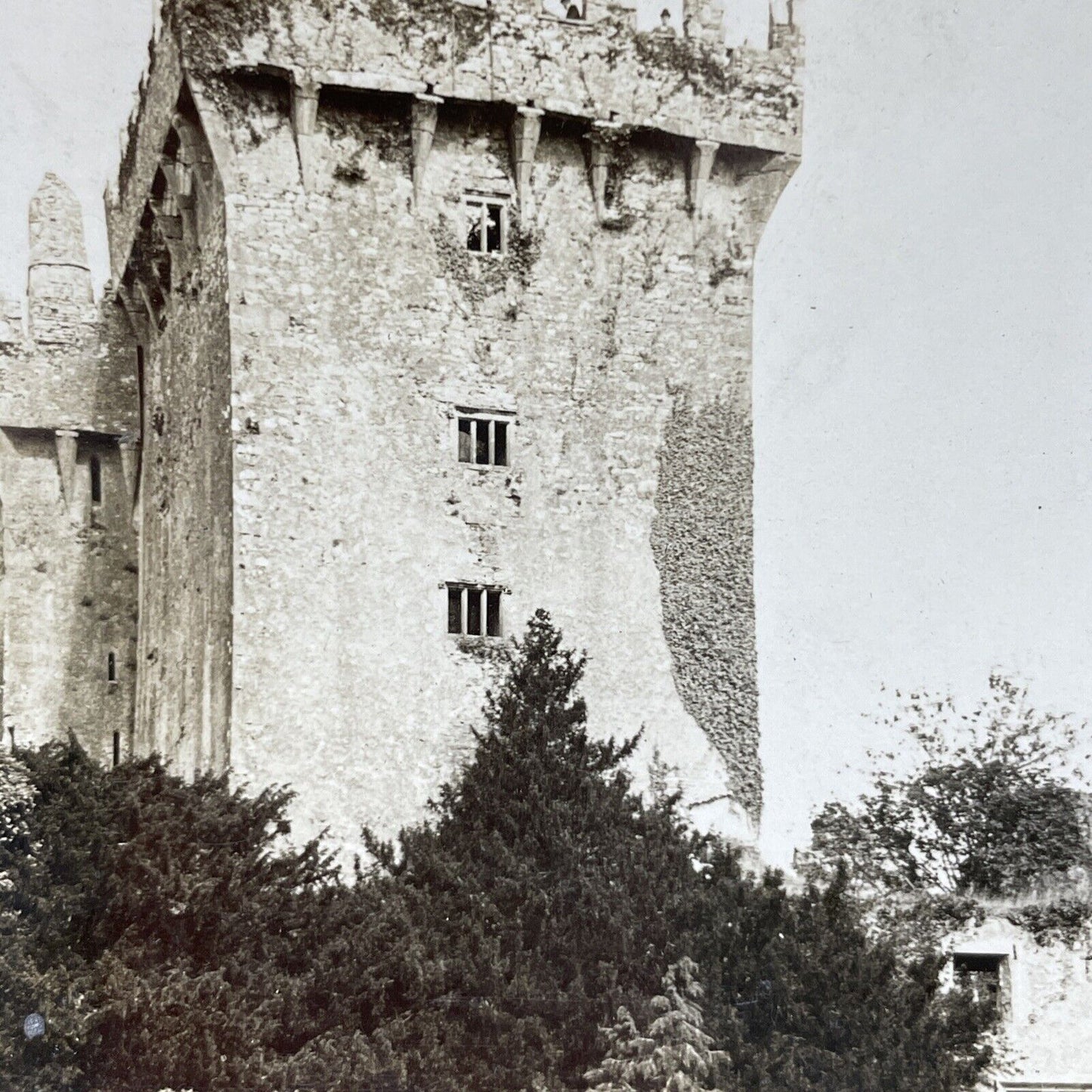 Antique 1910s Blarney Castle Dromderrig Ireland Stereoview Photo Card P2816