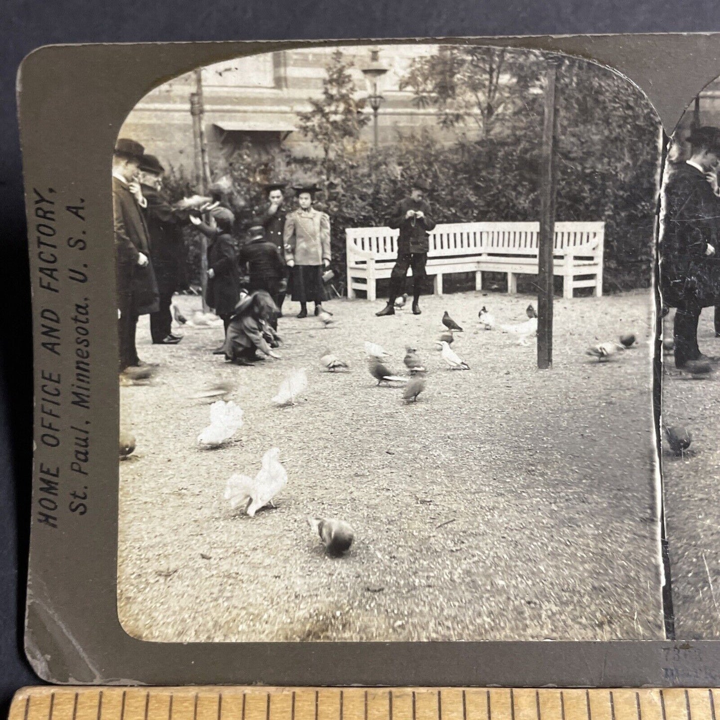 Antique 1907 Children Feed Pigeons Copenhagen Denmark Stereoview Photo Card 4209