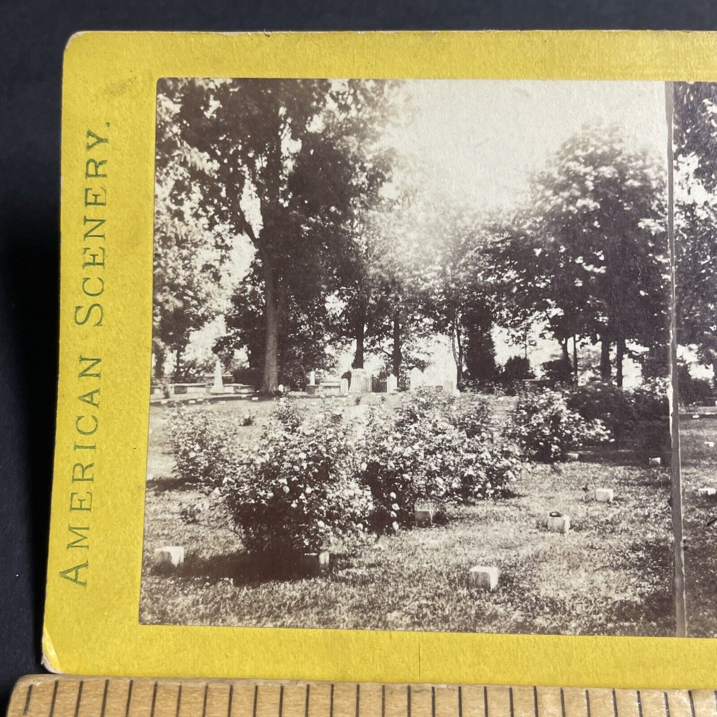 Antique 1870s Jefferson Military Cemetery Montana Stereoview Photo Card P4809