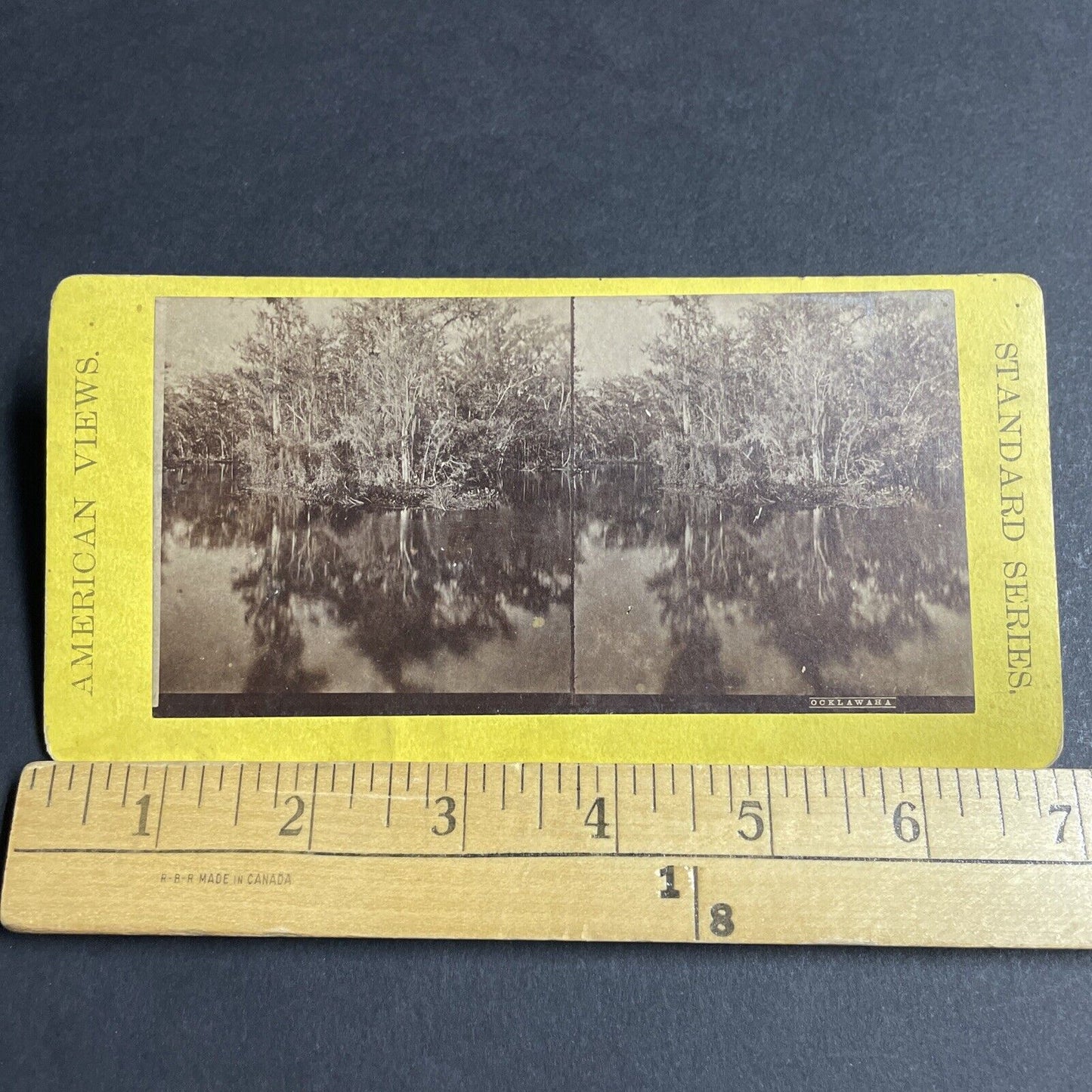 Antique 1870s Ocklawaha River Swamp Florida Stereoview Photo Card P4775