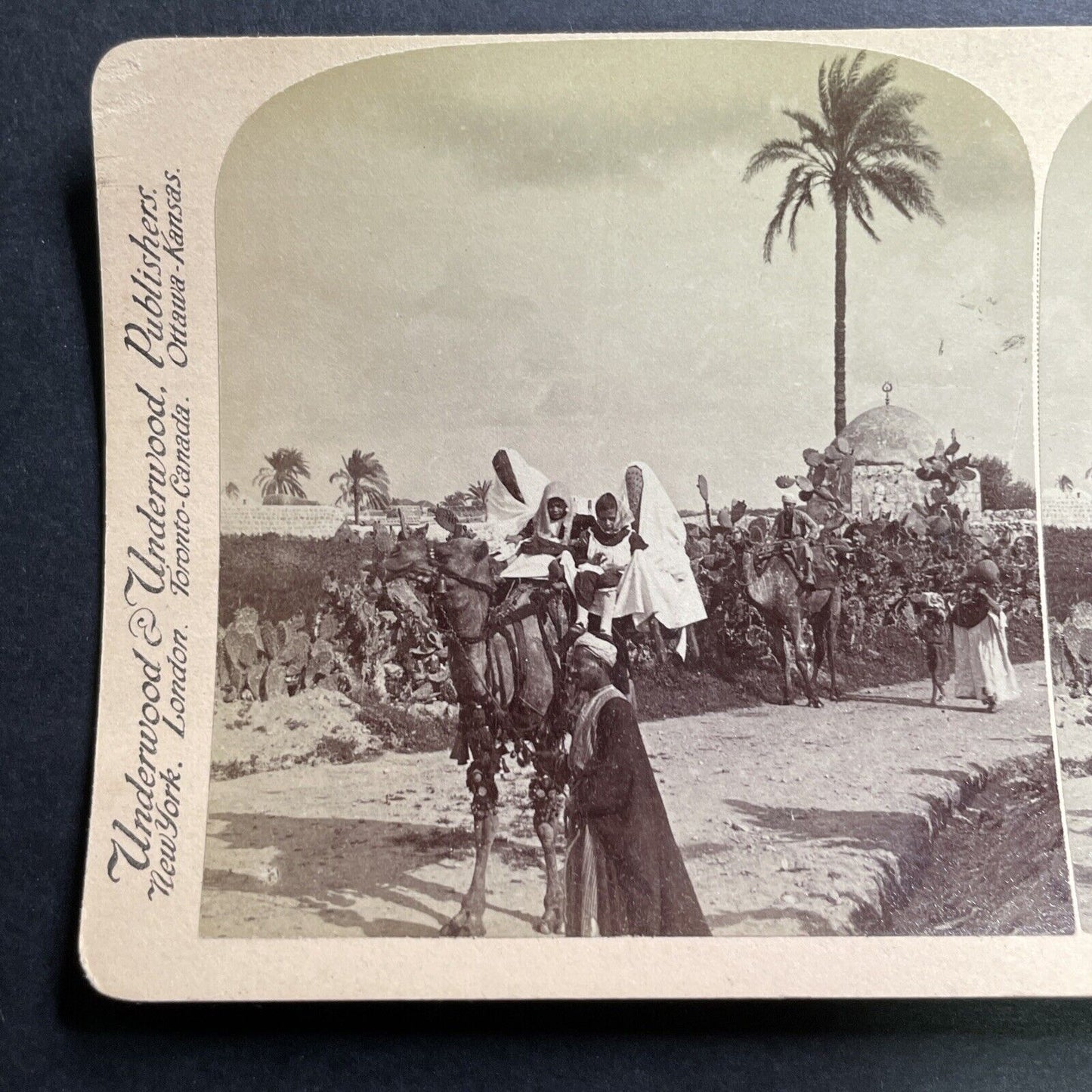 Antique 1900 Syrian Family On Camel Lydda Israel  Stereoview Photo Card P1390