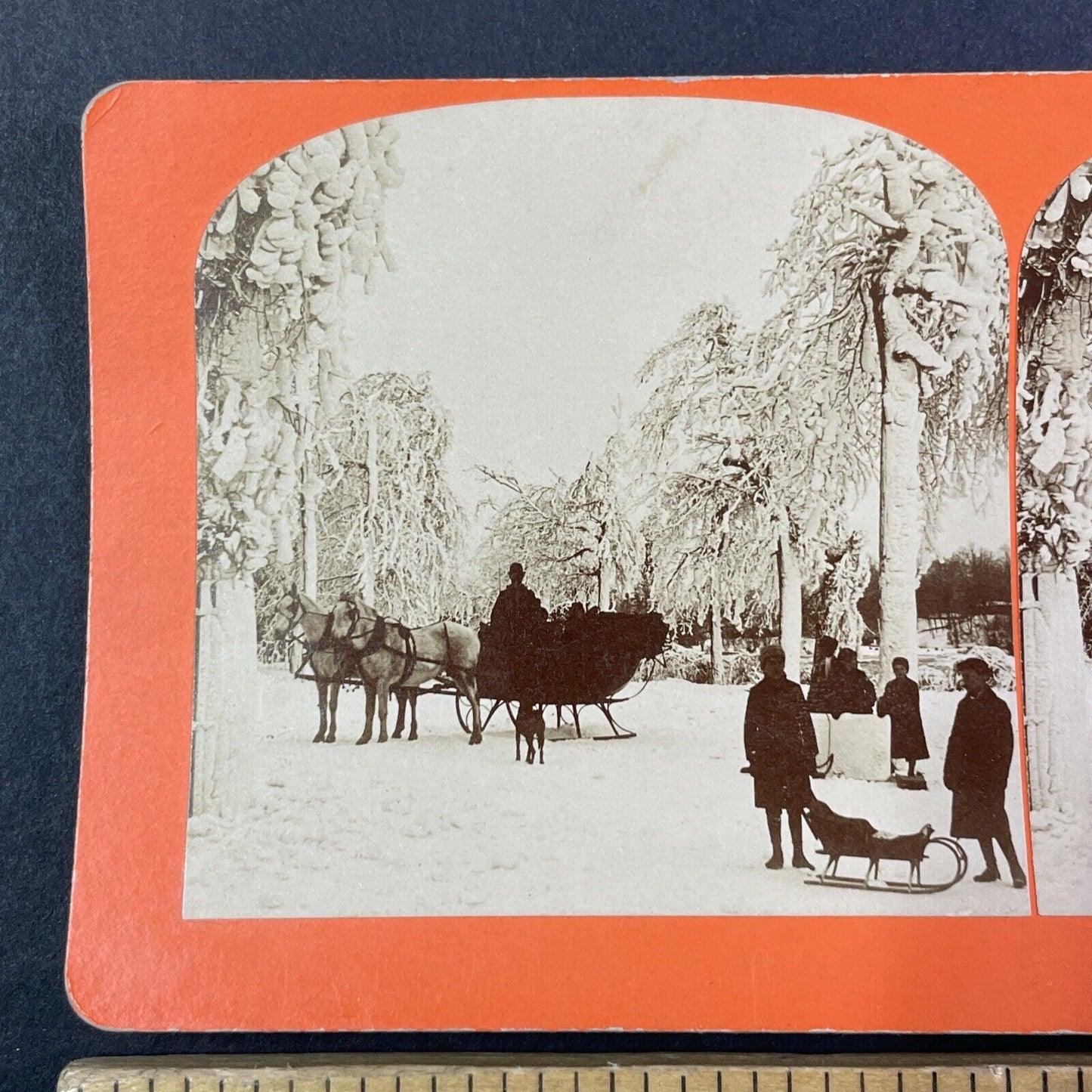 Winter Sleigh Ride in Prospect Park Niagara Falls Stereoview Antique c1893 Y1866