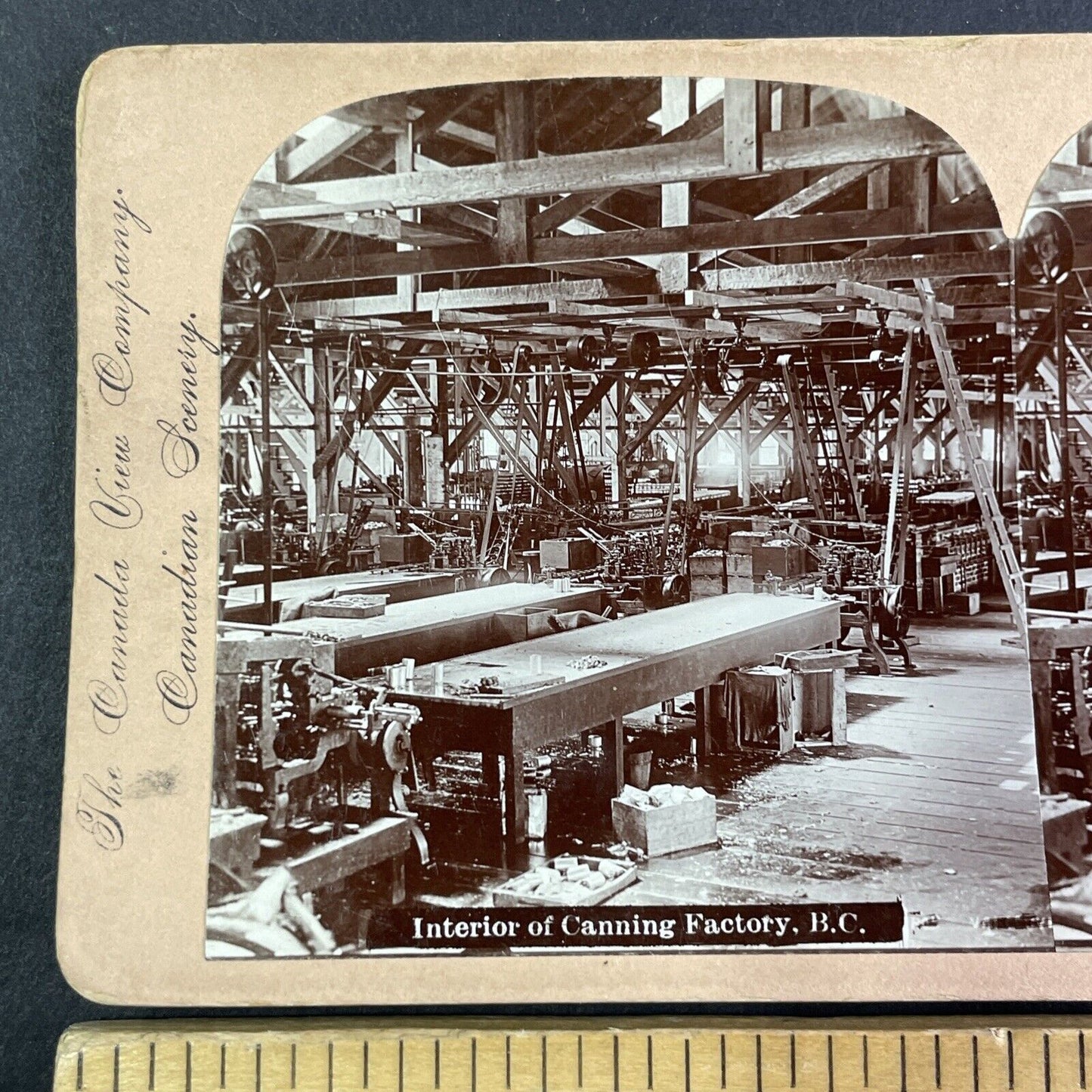 Fish Canning Factory British Columbia Stereoview CPR Rail Views c1899 Y2103