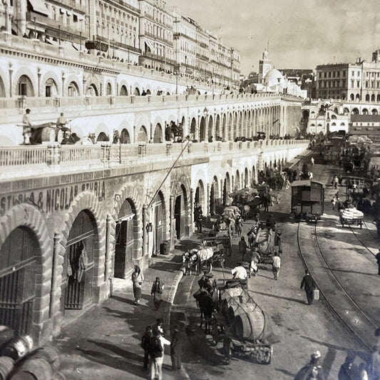 Antique 1910s Algiers Algeria City View Stereoview Photo Card P5058