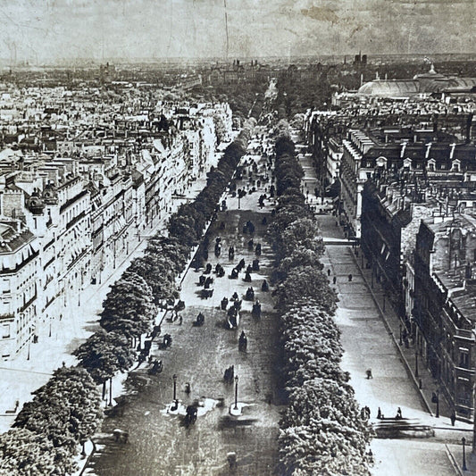 Antique 1900 Avenue Champs Elysees Paris France Stereoview Photo Card P2063