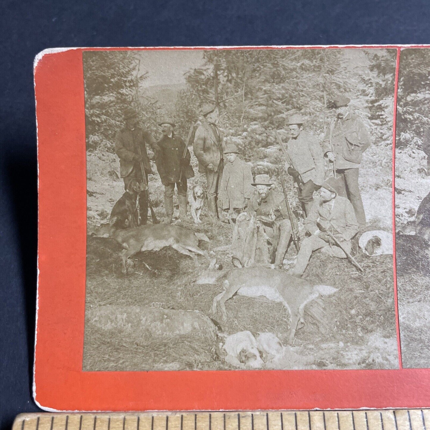 Antique 1888 Hunters Show Off Dead Deer Kills Stereoview Photo Card P4622