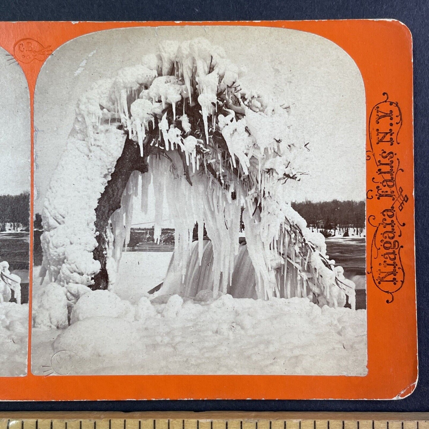 Niagara Falls Tree Frozen to Ground Stereoview Charles Bierstadt c1870s Y2243