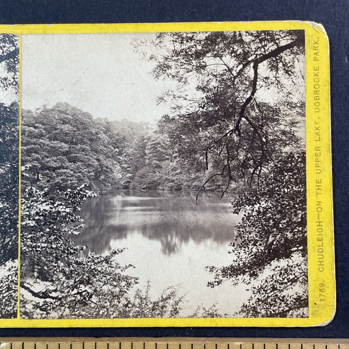 Ugbrooke Chudleigh Devon England UK Stereoview Lake View Antique c1870 X3717