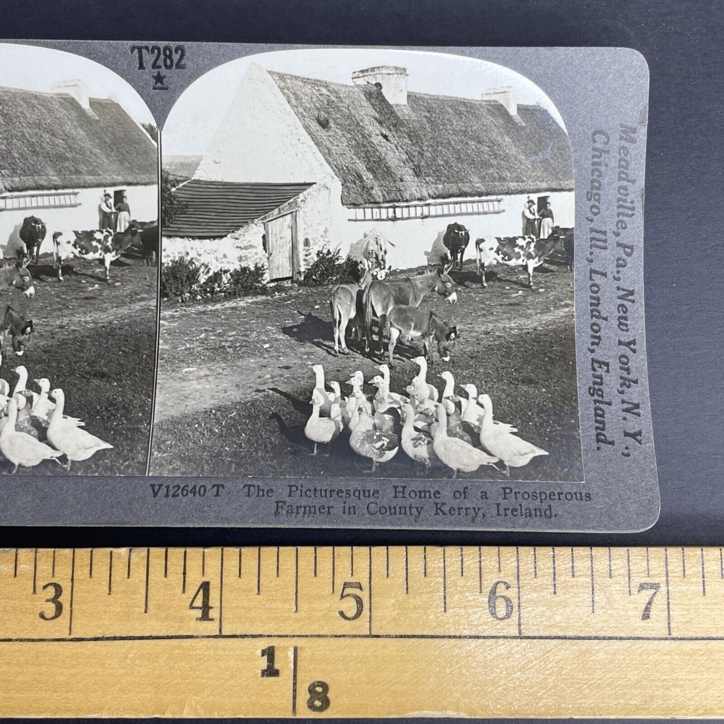 Antique 1901 County Kerry Ireland Farmers Stereoview Photo Card PC773