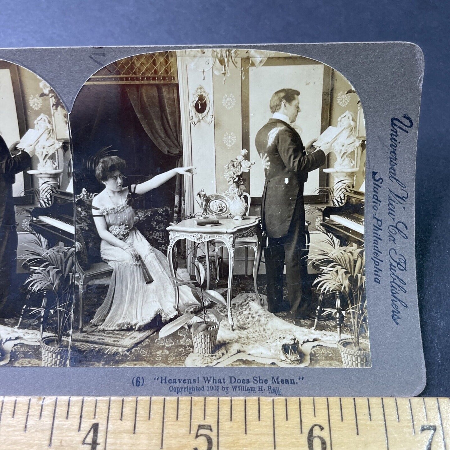 Antique 1902 Leopard Or Cheetah Skin Rug In Parlor Stereoview Photo Card P3016