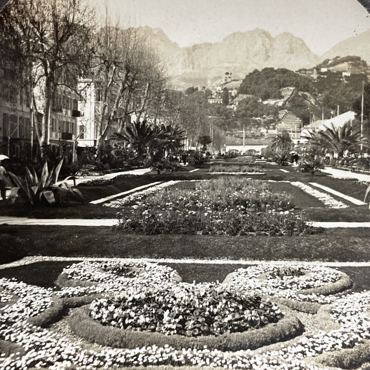 Antique 1910s Gardens Of Menton Nice France  Stereoview Photo Card P5523