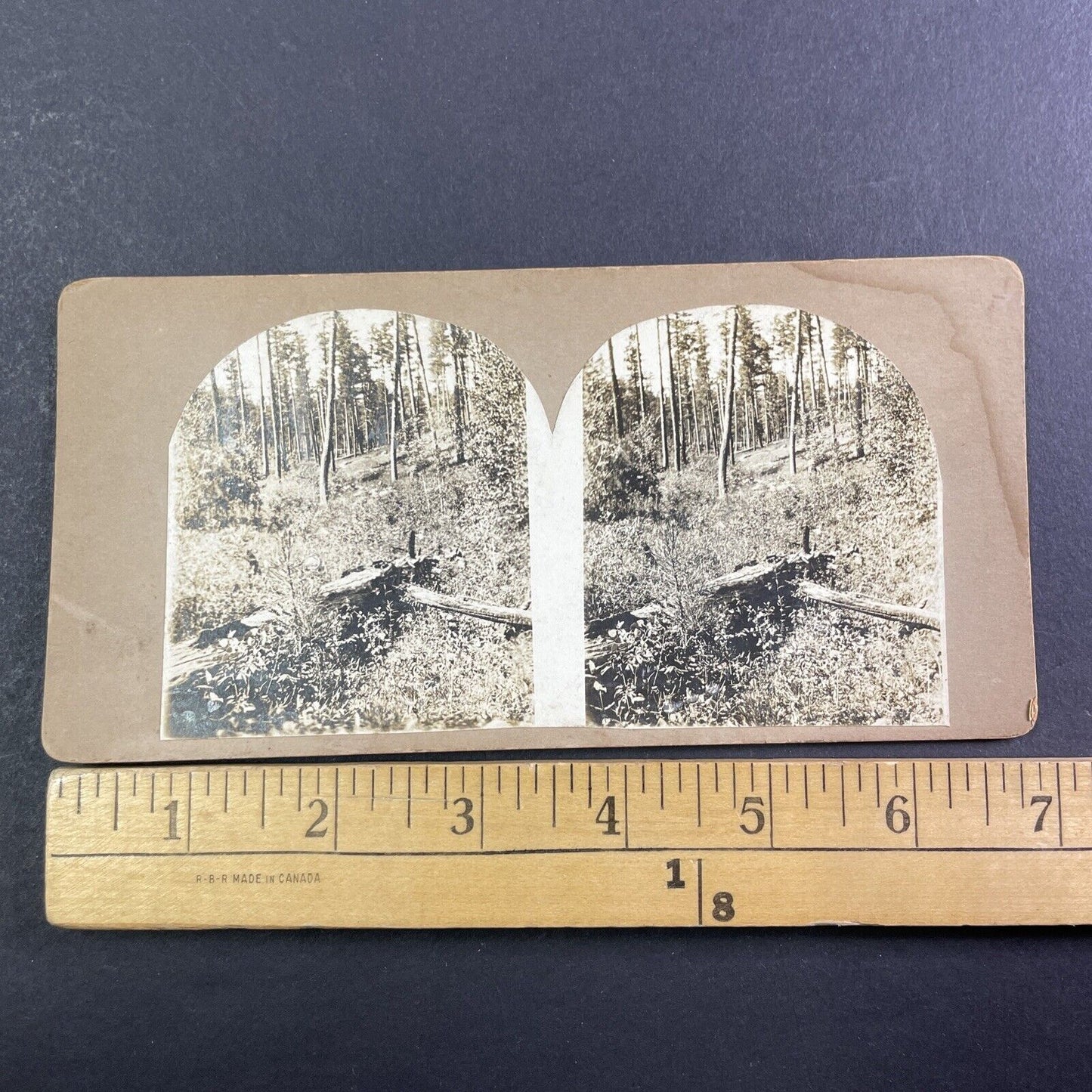 Copper Mountain Colorado Mining Site Mine Stereoview Antique c1870s X3753